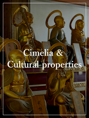 Cimelia & Cultural properties