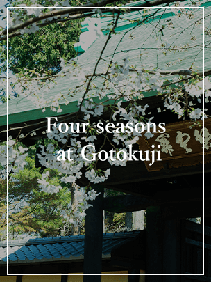 Four seasons at Gotokuji