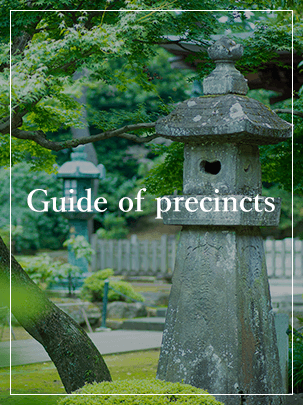 Guide of precincts